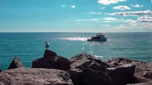 Сура 55 "Ар-Рахман" красивое чтение Корана