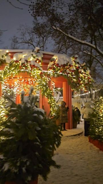 #Москва #2026 #новыйгод смотреть онлайн