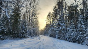 Делаем лыжню (06.01.2026г)