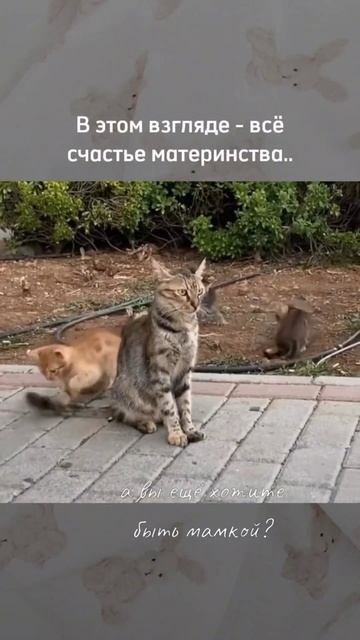 Материнство - тяжёлая работа! И конечно бесконечное счастье... к которому надо быть морально готовой