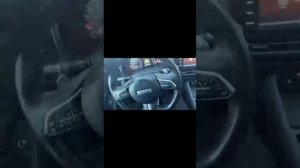 Lixiang и HAVAL  владельцы показывают все проблемы этих автомобилей