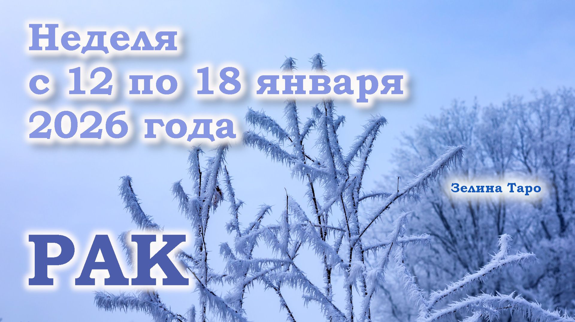 РАК | ТАРО прогноз на неделю с 12 по 18 января 2026 года смотреть онлайн