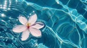 Песня В краю магнолий