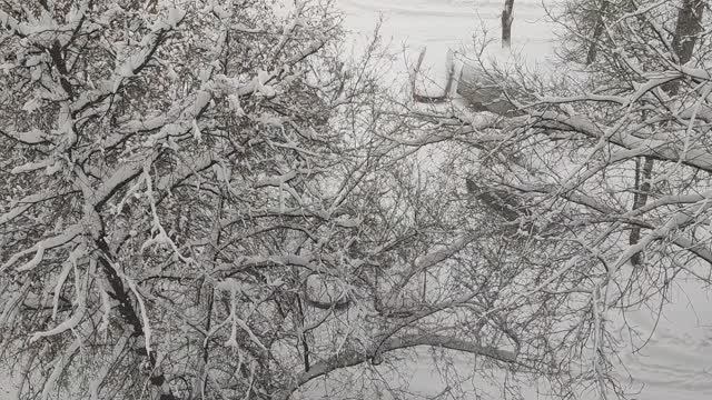 Метель в Москве. Сильный снегопад в Москве. Снегопад. Снег. Непогода. Циклон Фрэнсис. 9 января 2026 смотреть онлайн