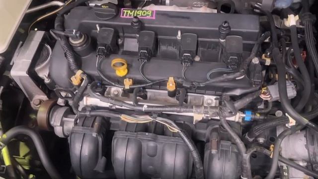 LF-10774480 TM1909 PREMACY CREW TOYAMA 3.06.2025