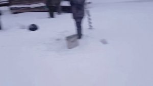 Зарыбление водоёма.