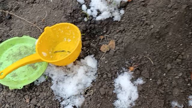 Мои тюльпанчики Смех и Грех смотреть онлайн