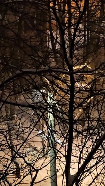 Москва -10🌡❄️ 😶🌫️ Moscow -10🌡❄️ 😶🌫️ смотреть онлайн