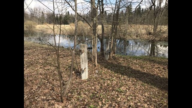 ©  "Дача Демидова" 2018 г