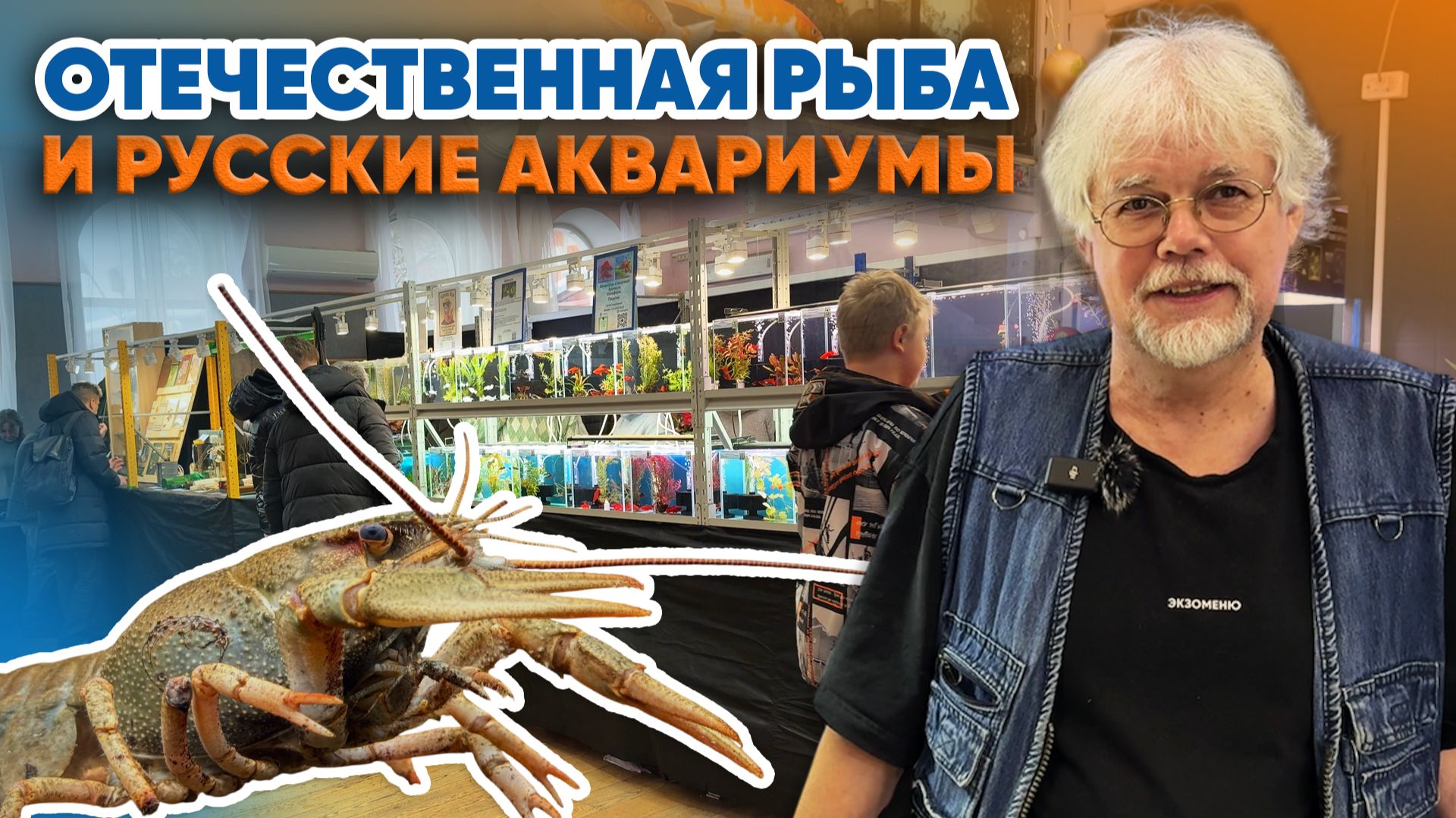 Аквариумные истории из ЭКЗОМЕНЮ (09.01.2026). Отечественная рыба и Русские Аквариумы (1 часть). смотреть онлайн