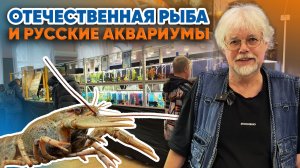 Аквариумные истории из ЭКЗОМЕНЮ (09.01.2026). Отечественная рыба и Русские Аквариумы (1 часть).