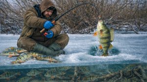 В ЛУНКЕ У КОРЯГИ СОБРАЛАСЬ ТУЧА РЫБЫ! ТУТ ЖОР СУМАШЕДШИЙ! МОЙ ПЕРВЫЙ ЛЕД!