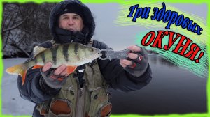 Три здоровых окуня! Зимний спиннинг на Москва реке