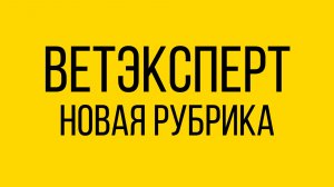 Ветеринар с 23-летним стажем, будет просто и понятно отвечать на вопросы о здоровье ваших питомцев