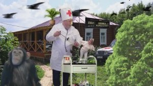 Праздничная дурка "Курочка РЯБА из Красновидово"