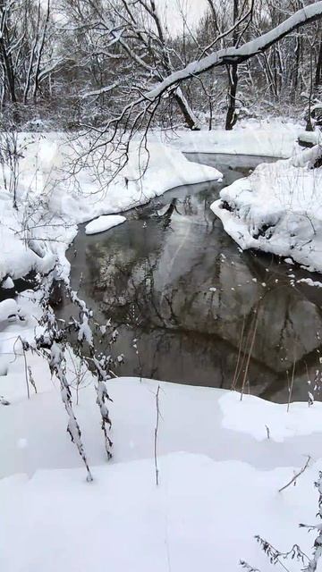 Живые картины русской природы 9