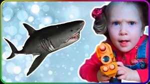 Дочки-матери с куклой, разноцветная акула и чупа-чупсы на детской лощадке