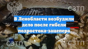В Ленобласти возбудили дело после гибели подростока-зацепера