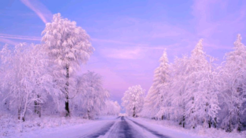 крутой ник 🥥