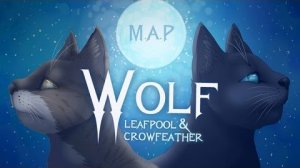 Коты воители MAP | Wolf