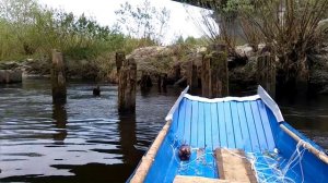 ТБ / 2019. Неопубликованные материалы 002