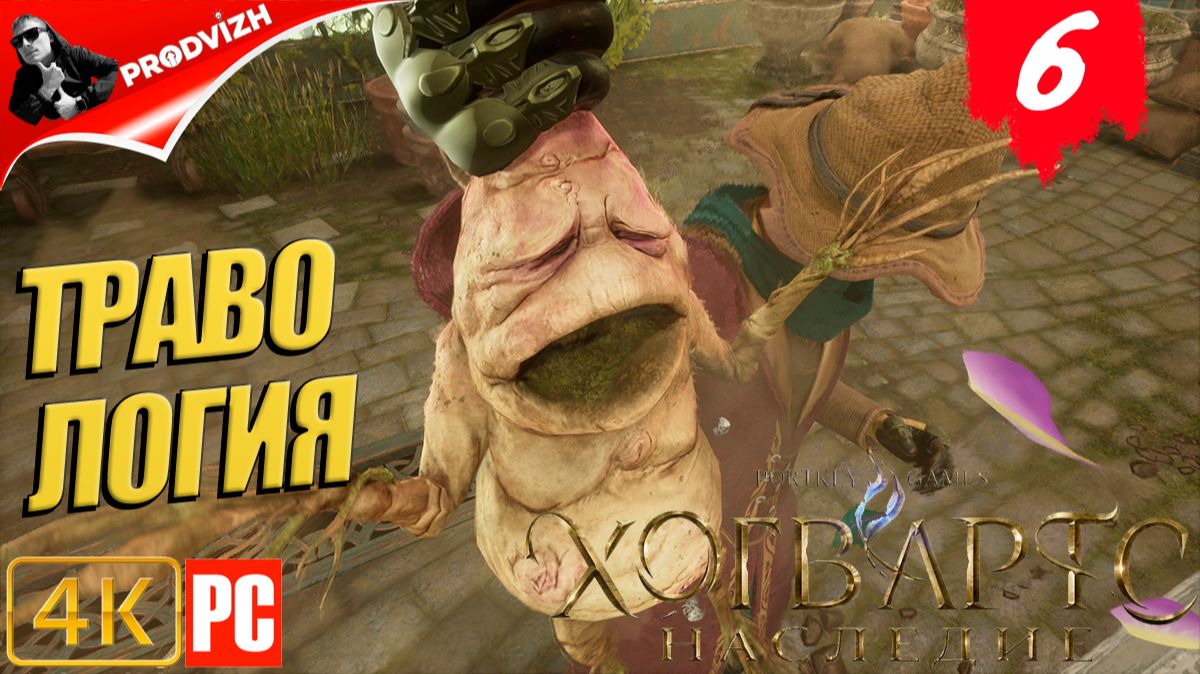 Хогвартс. Наследие ║ #6 ОКРЕССТНОСТИ ХОГСМИДА ║ Hogwarts Legacy