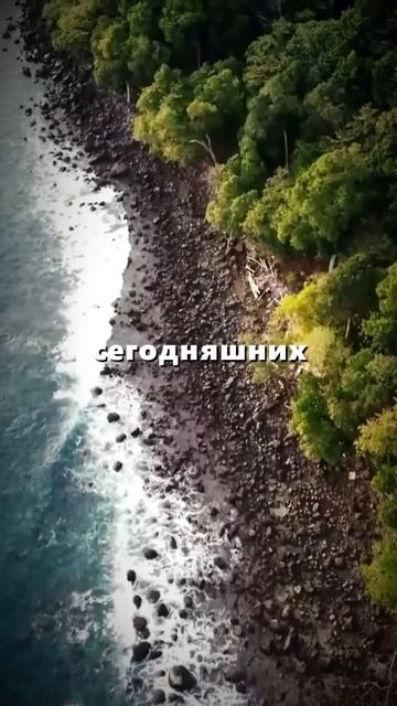 Будущее в настоящем смотреть онлайн