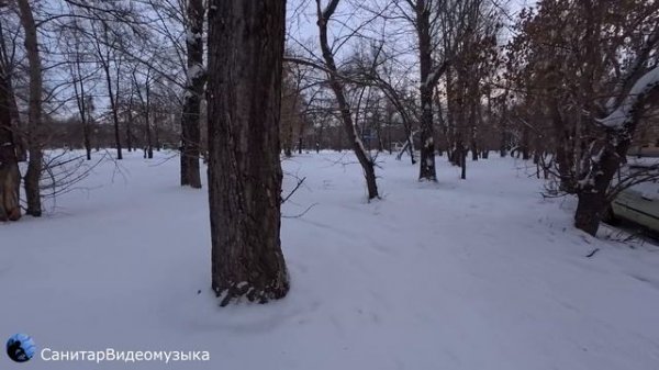 Insta360 Ace Pro 2  тест ZOOM