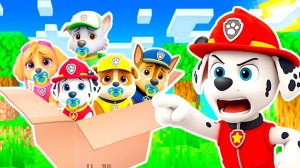 МАРШАЛ ВЫГНАЛ ВЕСЬ ЩЕНЯЧИЙ ПАТРУЛЬ а Я ИХ ПРИЮТИЛ в МАЙНКРАФТ