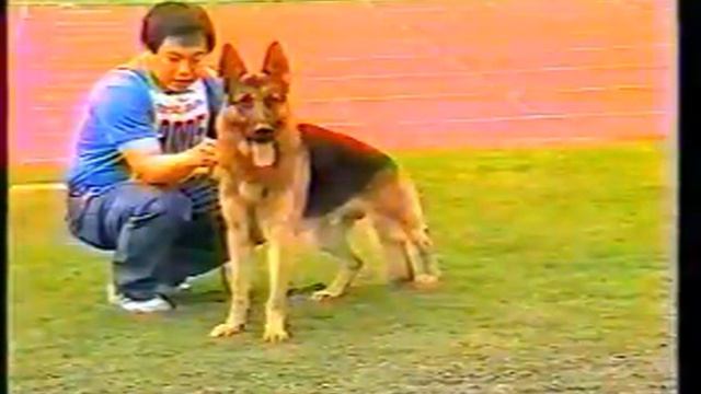 SIEGER Karlsruhe 1989 1