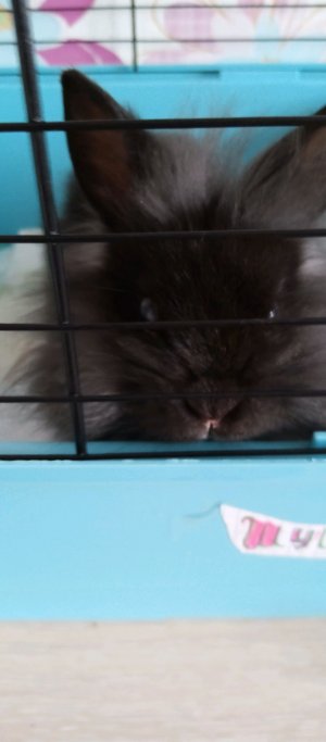 собираем рюкзак ведь в понедельник в школу и начинается 3-я четверть