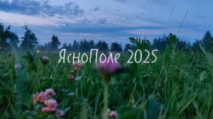 Ясно Поле 2025