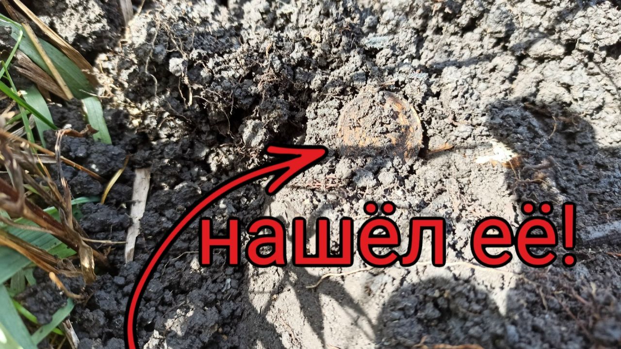 УЕХАЛ НА РАЗВЕДКУ НА ХУТОР! В ПОИСКАХ МОНЕТ ПО ЗАБРОШЕННЫМ МЕСТАМ!!! #ПОИСКМОНЕТ metaldetecting смотреть онлайн