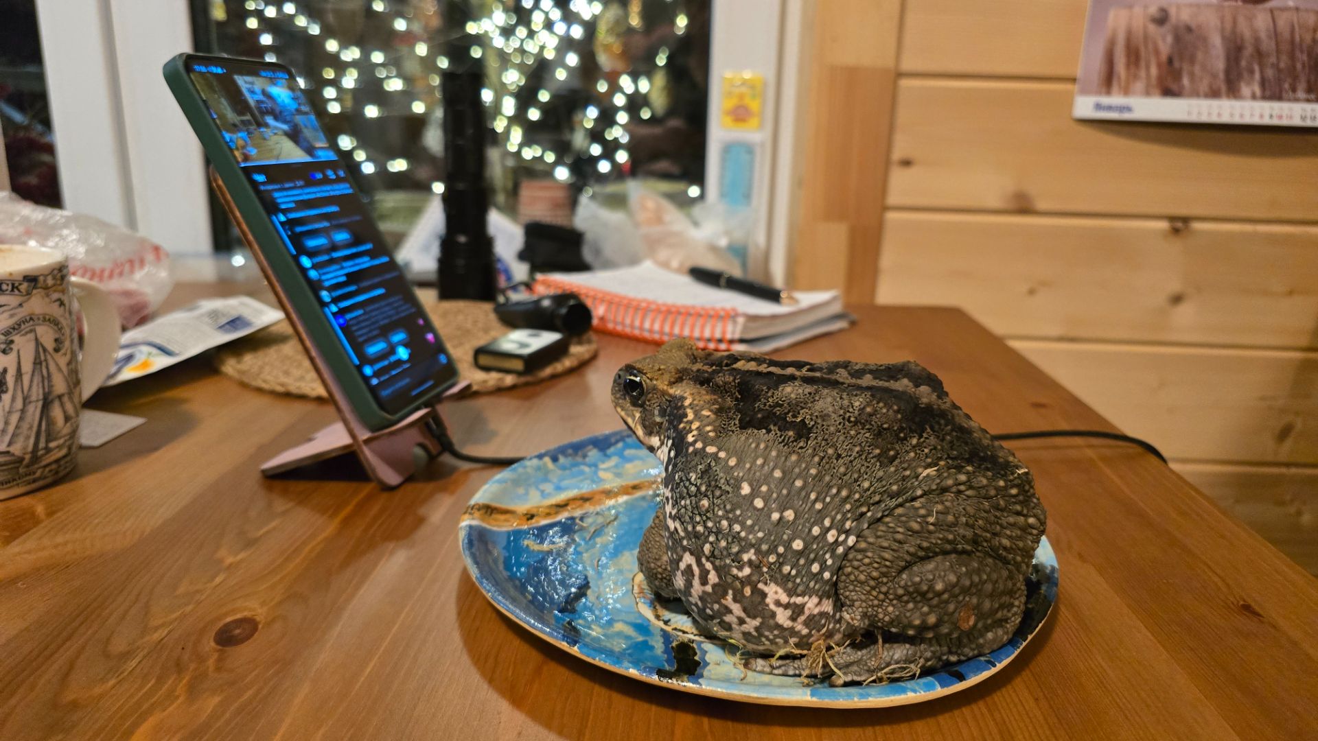 Понесли стрим смотреть снежные завалы на дороге. Запись стрима с ютуба от 9.01.26 смотреть онлайн