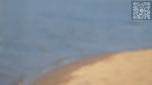 Девушка загорает на пляже.Эротика . смотреть онлайн