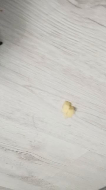 вот и вторая собачка я не толкала а подвинула