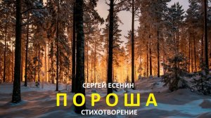 СТИХ- ПОРОША ( С. ЕСЕНИН), ВИДЕО-ИИ.