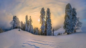 🎼. ♫  .Муслим Магомаев - "Позови меня",муз.Арно Бабаджанян , сл. Роберт Рождественский