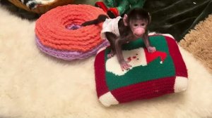 Николь ни сидит уже на месте ни минуты, удивительная малышка😘