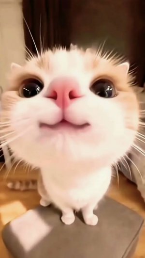 Смешные коты:)