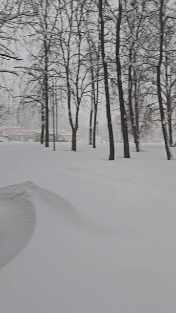 Москва -10🌡❄️ 😶🌫️ Moscow -10🌡❄️ 😶🌫️ смотреть онлайн