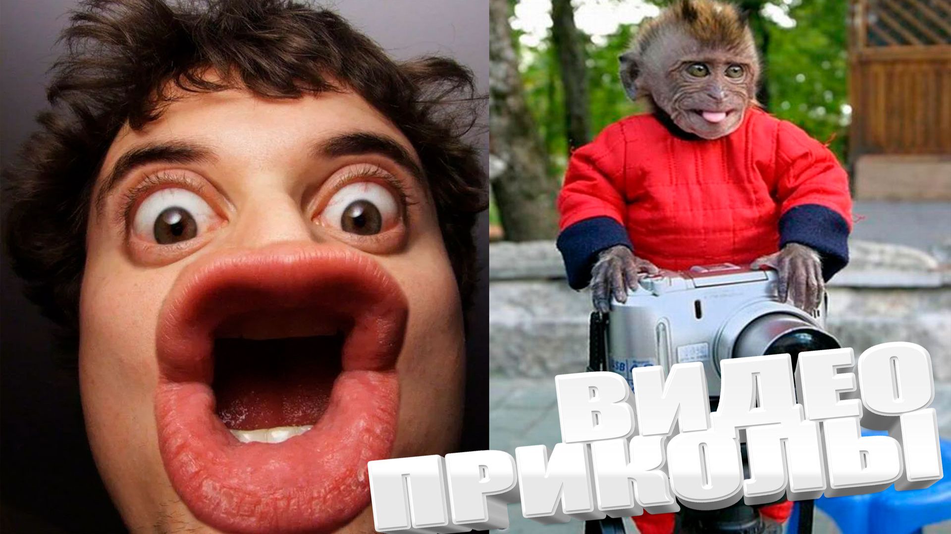 ЛУЧШИЕ ПРИКОЛЫ 2025 | ПРИКОЛЫ 2025 | СВЕЖИЕ ПРИКОЛЫ 2026 | РЖУ НЕ МОГУ |