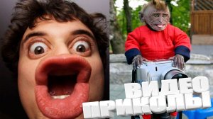 ЛУЧШИЕ ПРИКОЛЫ 2025 | ПРИКОЛЫ 2025 | СВЕЖИЕ ПРИКОЛЫ 2026 | РЖУ НЕ МОГУ |