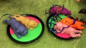 Дискотека резиновых собачек сквиш с мыльными пузырями.