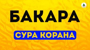 Коран. Сура Бакара. Слушать перед сном