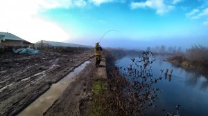 ЧТО ЭТО БЫЛО? КТО ЭТО БЫЛ? РЕЧНОЙ МОНСТР ЧУТЬ НЕ ПОЛОМАЛ НОВЫЙ СПИННИНГ. СЕГОДНЯ ТОЛЬКО ТРОФЕИ.