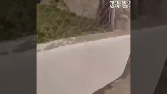 #США #Bodycamera смотреть онлайн