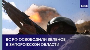 Кадры из освобожденного Зеленого в Запорожской области