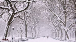 Сергей Сухачёв - Две снежинки (Авт.ролика Виктор)