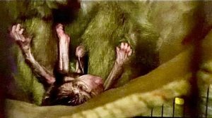 У меня СДАЮТ НЕРВЫ, на дворе почти ночь, но Джульетта наотрез отказывается взять малышку Николь!